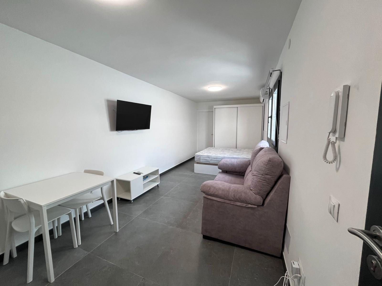 Sala d'estar de Casa o xalet de lloguer en Málaga Capital amb Aire condicionat, Calefacció i Moblat