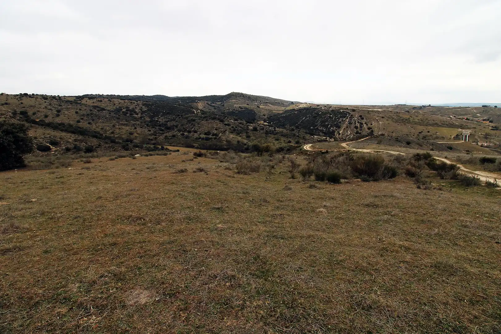 Terreny rústic en venda a El Vellón, imagen 11
