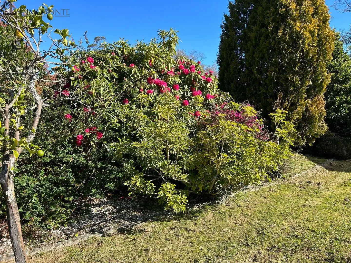 Jardí de Casa o xalet en venda en Pontevedra Capital  amb Calefacció, Jardí privat i Terrassa