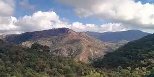 Terreno rustico in vendita a Pruna, imagen 7