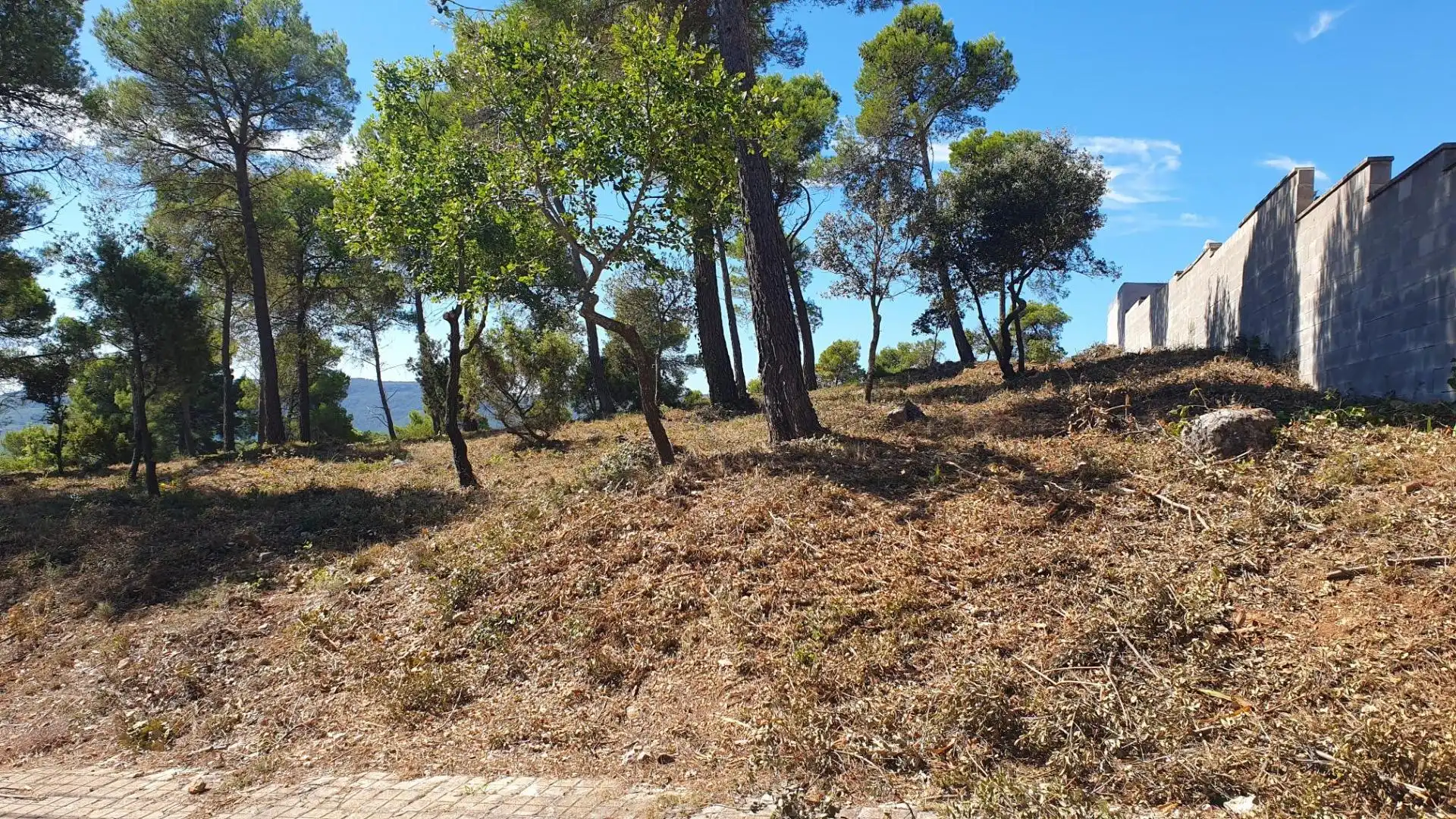 Terreny residencial en venda a La Torre de Claramunt, imagen 2