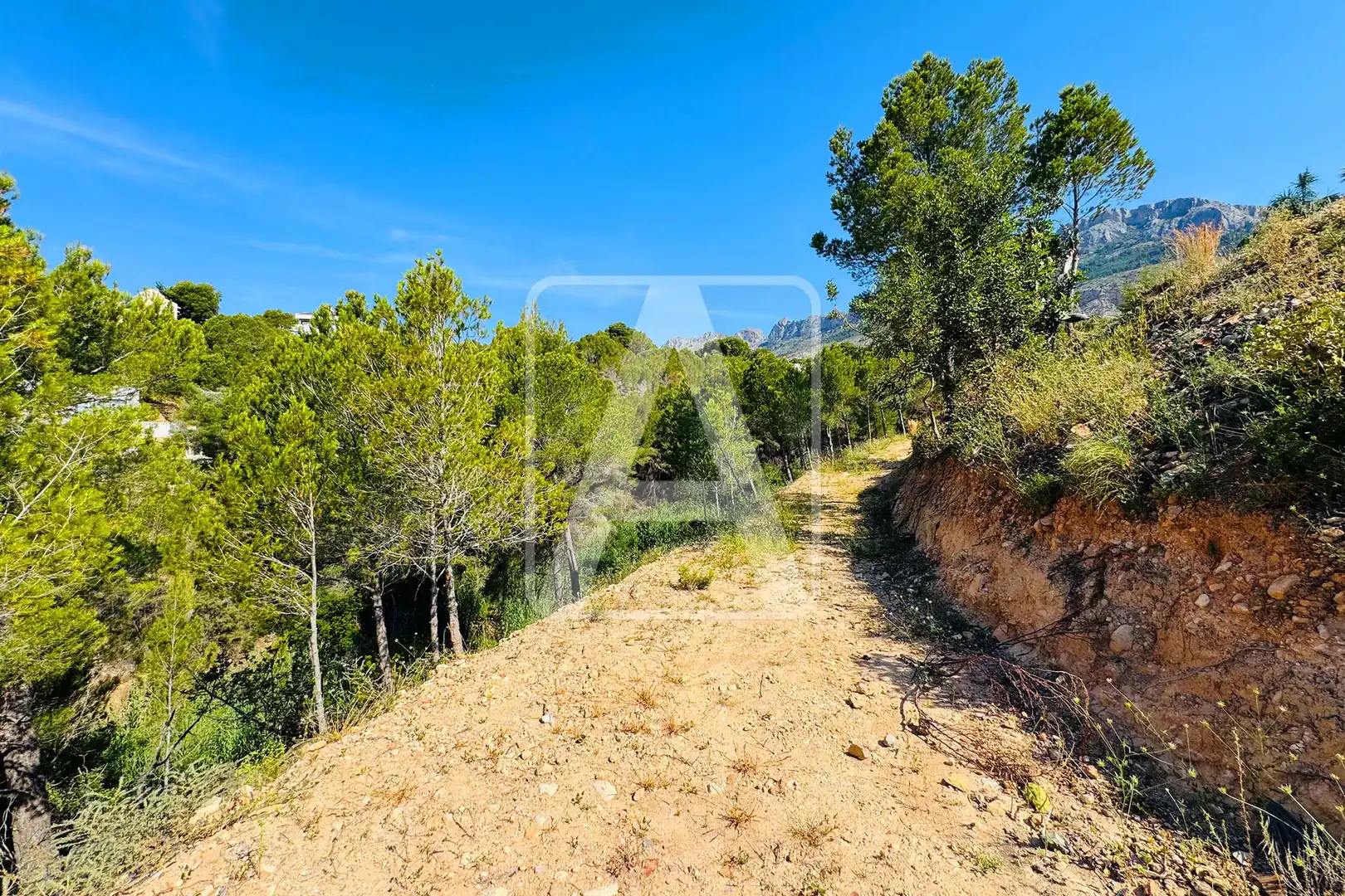 Terreny residencial en venda a Altea la Vella, imagen 15