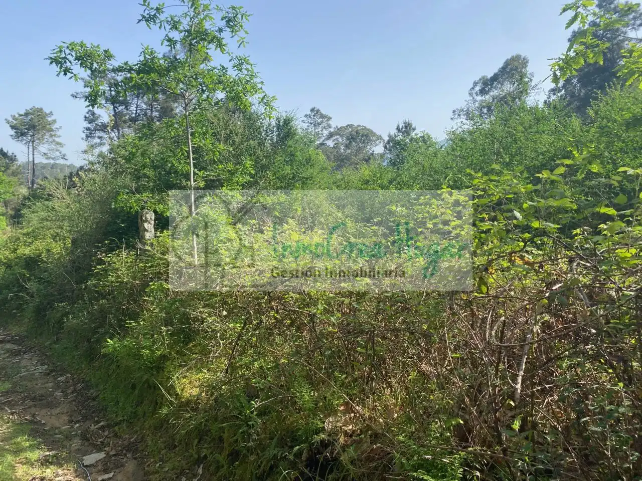 Terreny rústic en venda a Salvaterra de Miño, imagen 19