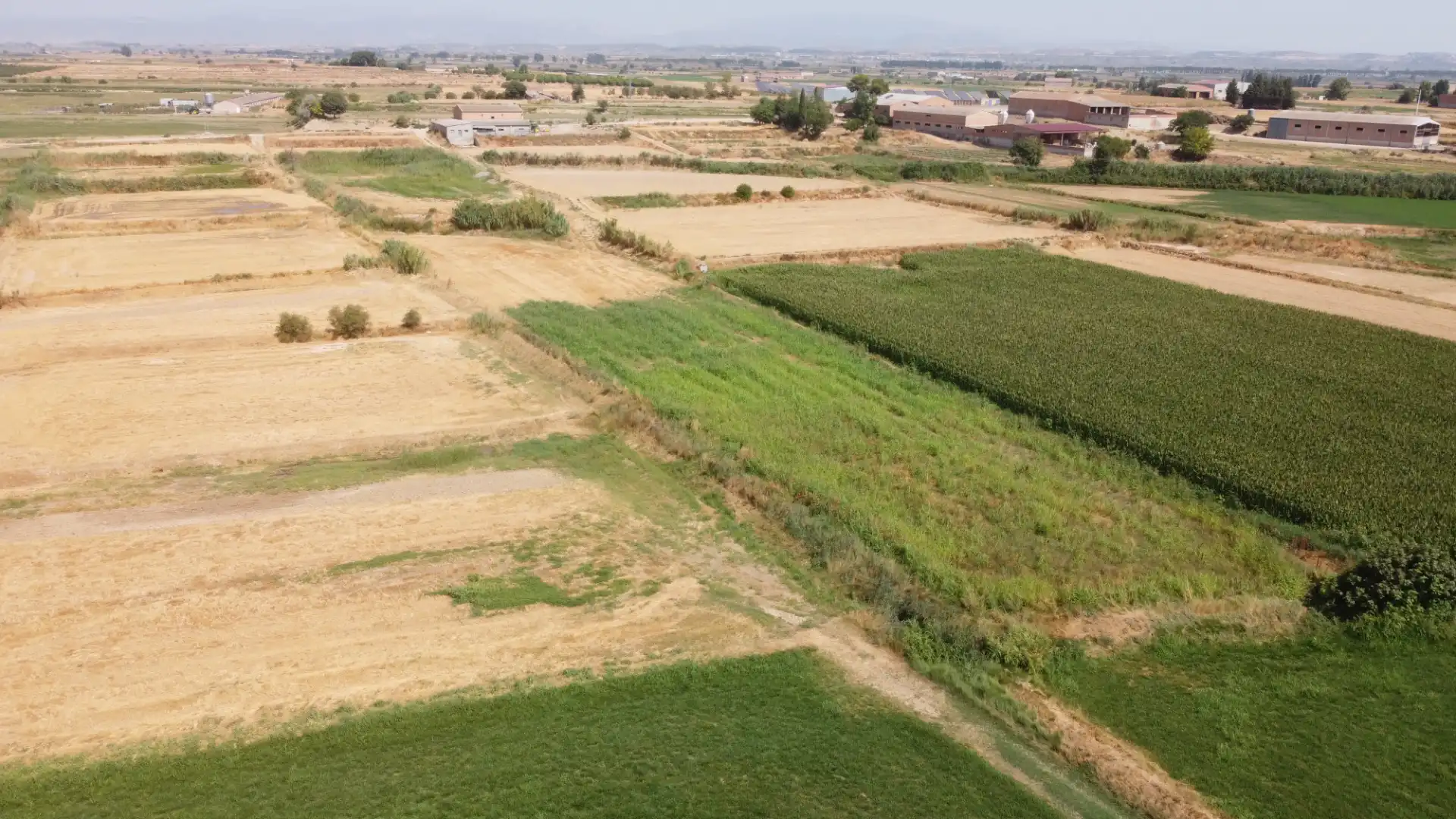 Land for sale in Linyola
