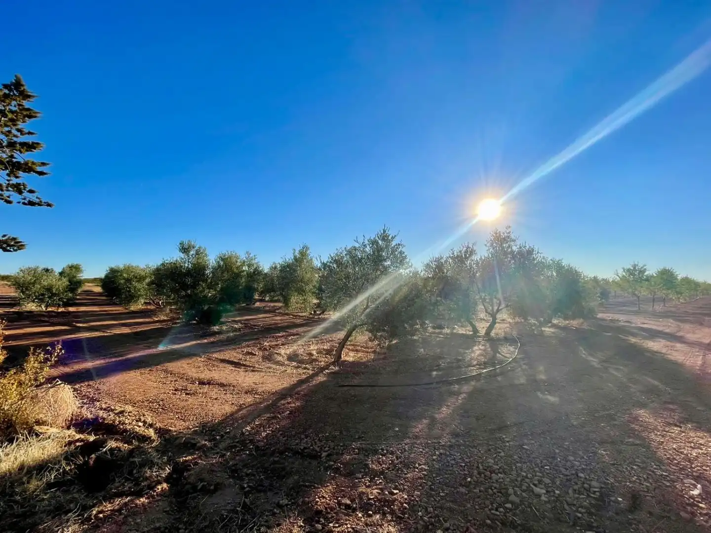 Finca rústica en venda en Valdepeñas amb Piscina