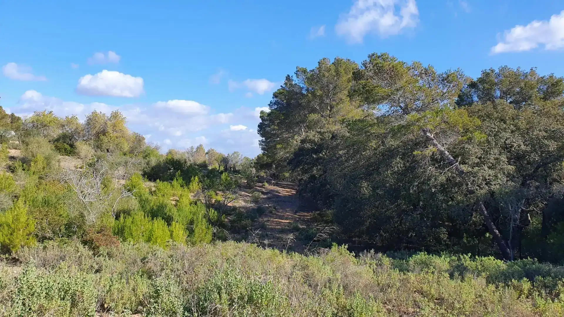 Terreny en venda en Costitx