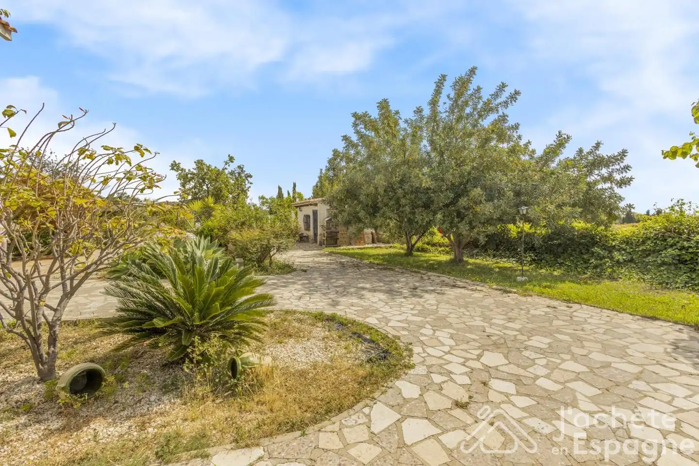 Exterior view of Houses for sale in San Vicente del Raspeig / Sant Vicent del Raspeig  with Private garden, Terrace and Swimming Pool