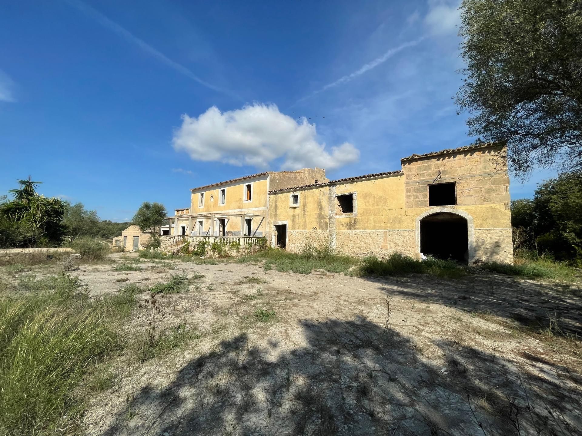 Vista exterior de Finca rústica en venda en Petra amb Jardí privat
