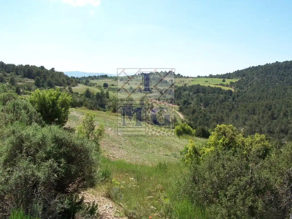 Finca rústica en venta en Yeste