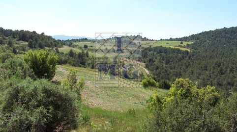 Foto 3 de Finca rústica en venta en Yeste, Albacete