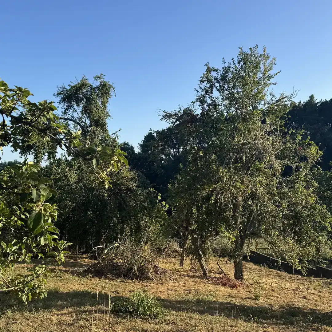 Country homes for sale in Riós, Ourense