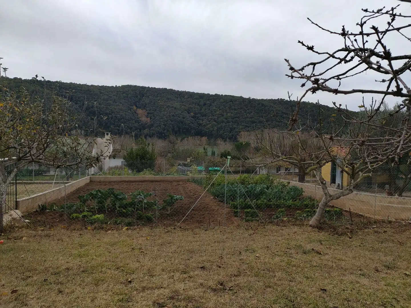 Jardí de Casa o xalet en venda en Sant Feliu de Buixalleu amb Aire condicionat, Calefacció i Terrassa