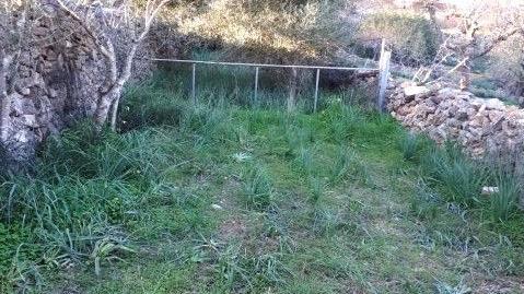 Photo 2 of Residential for sale in Disseminat S Espinagar, Manacor Centre, Manacor