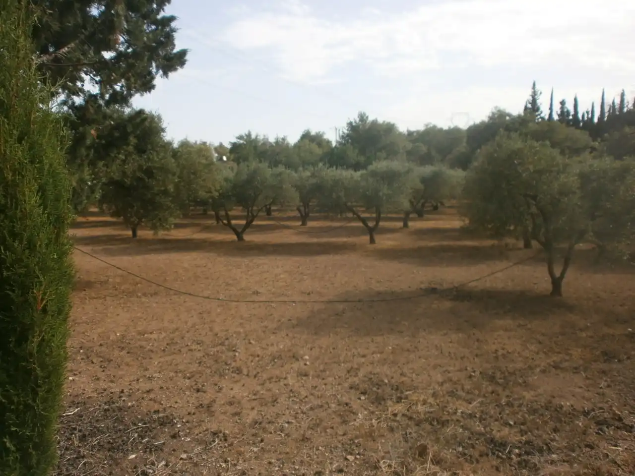 Rural land for sale in Carrer Major, imagen 6