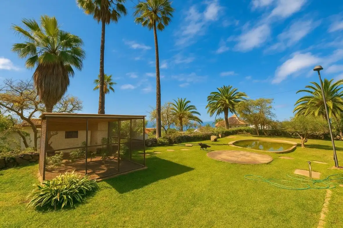 Jardín de Casa o chalet en venta en Santa Úrsula con Terraza