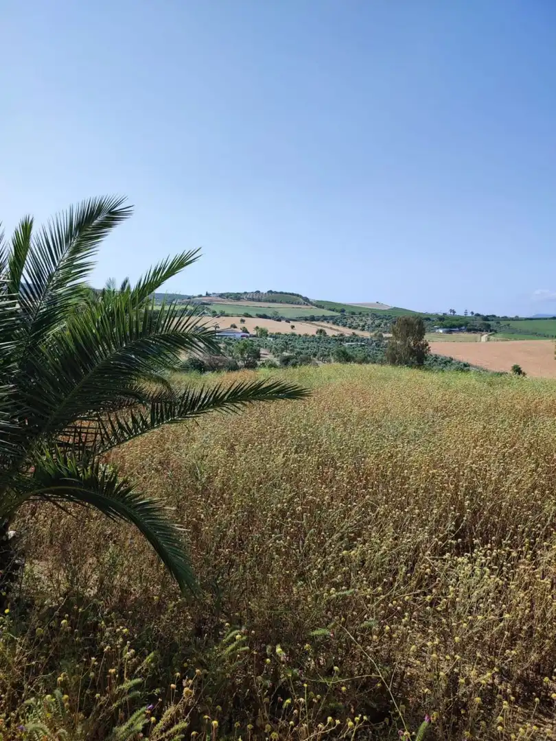 Terreno residencial en venta en Arcos de la Frontera, imagen 4