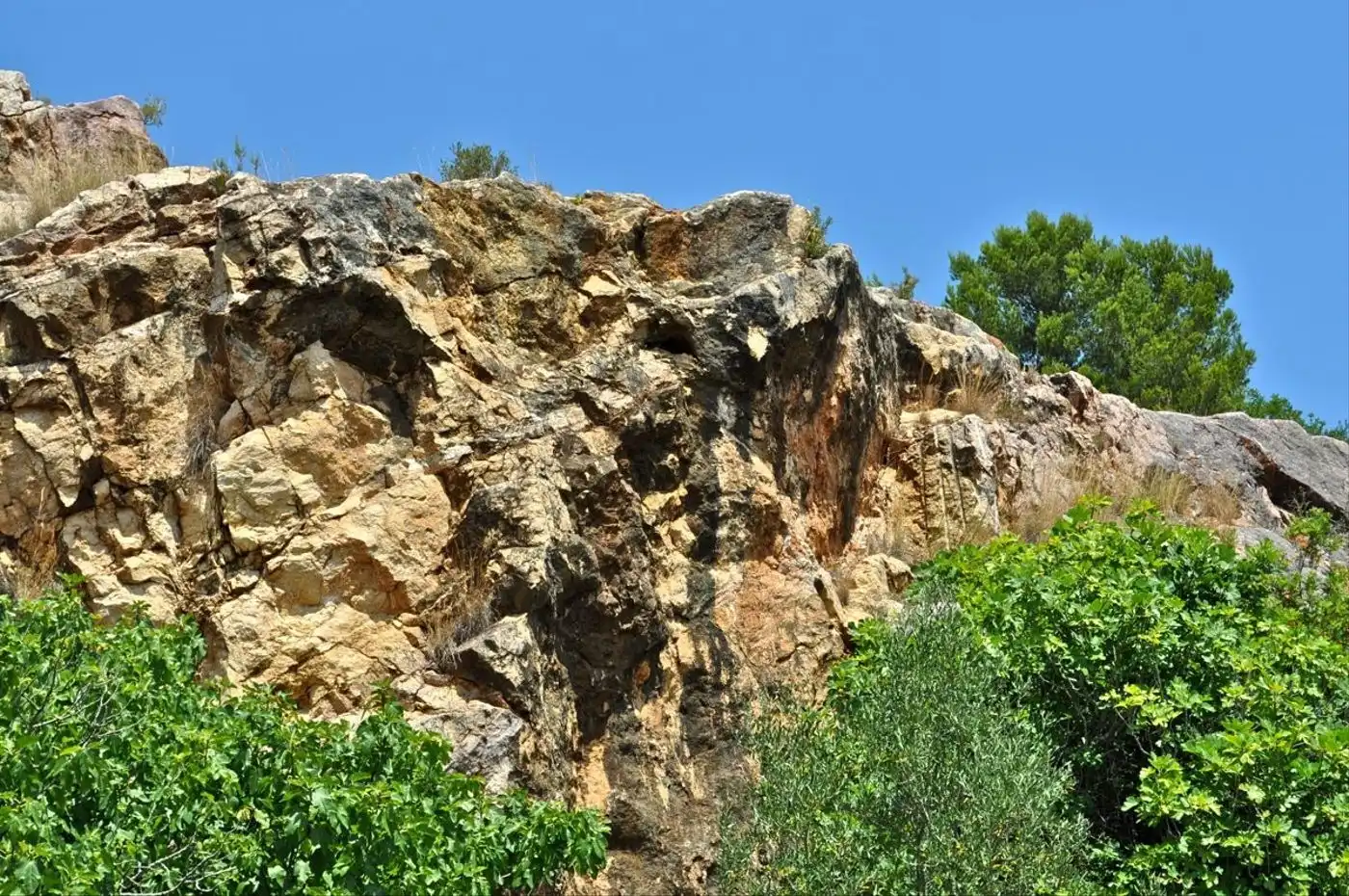 Land for sale in Camí del Barranc de la Llet, 26, Sant Llàtzer
