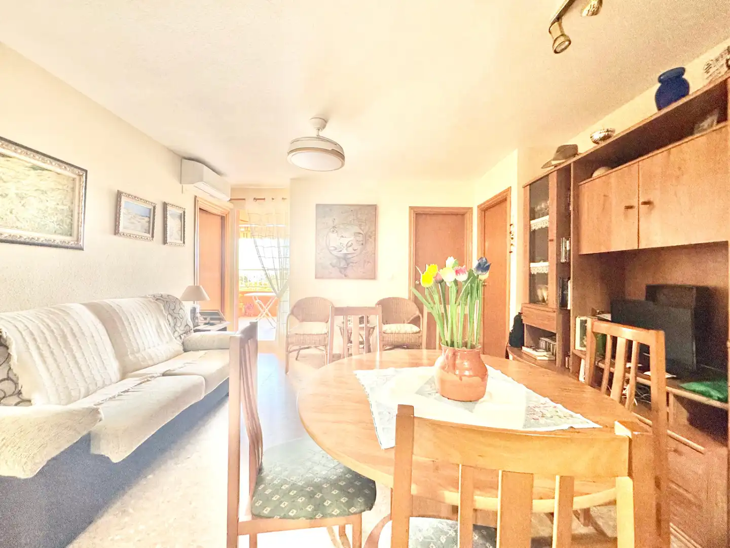 Sala d'estar de Apartament de lloguer en Canet d'En Berenguer amb Aire condicionat, Terrassa i Moblat