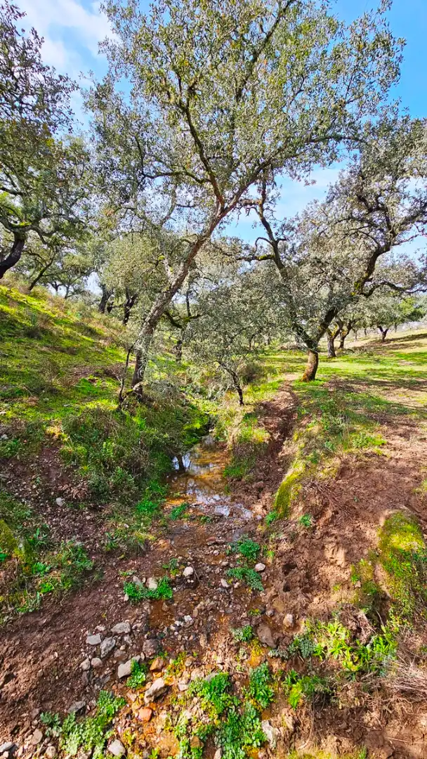 Terreni e lotti in vendita a Santa Olalla del Cala, imagen 18