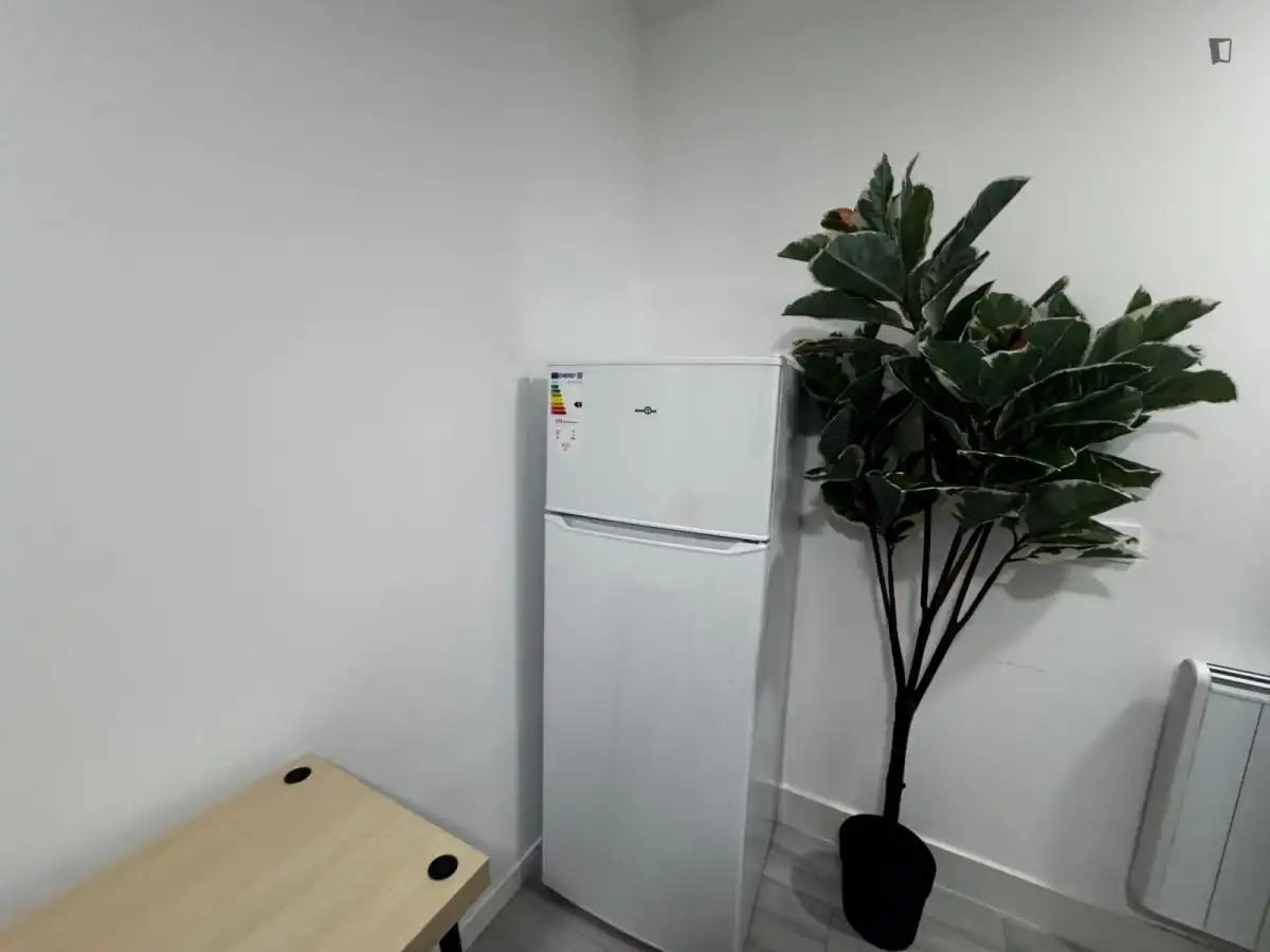Room in Universidad