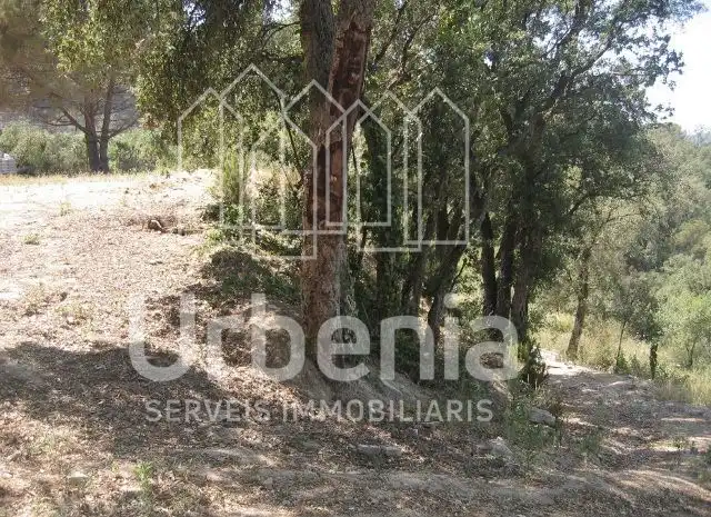Terreno rústico en venta en Sant Cebrià de Vallalta, imagen 5