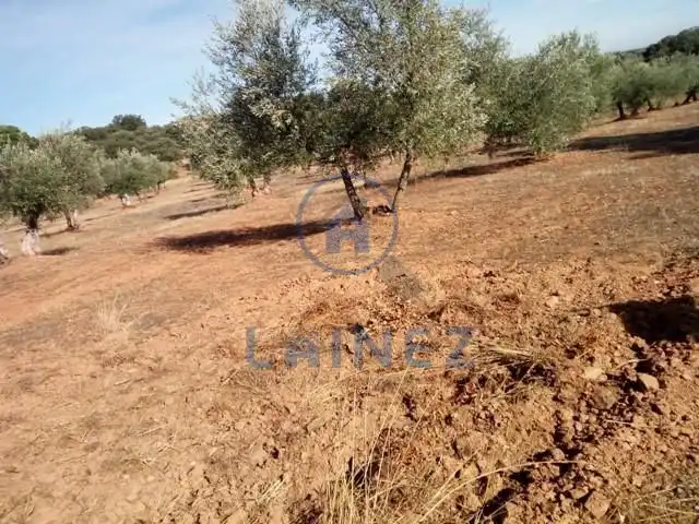 Terreny residencial en venda a Villanueva del Duque, imagen 16
