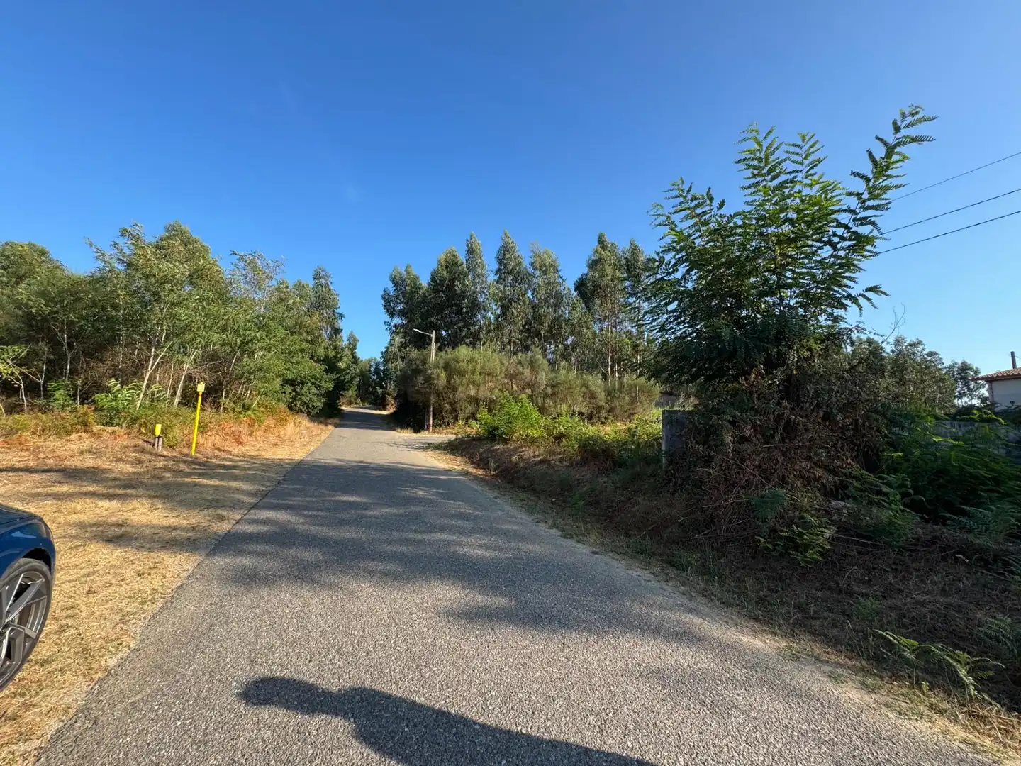 Lands and plots for sale in Lugar EIDO VELLO-BUDIÑO, imagen 7