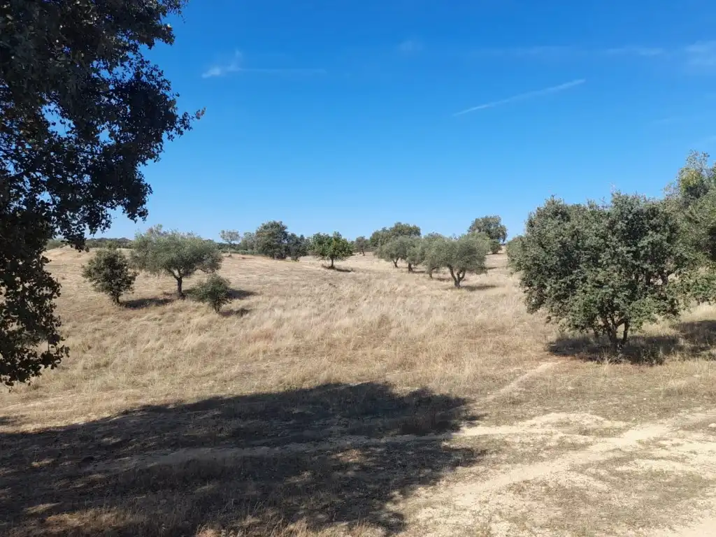 Casa o xalet en venda en San Vicente de Alcántara