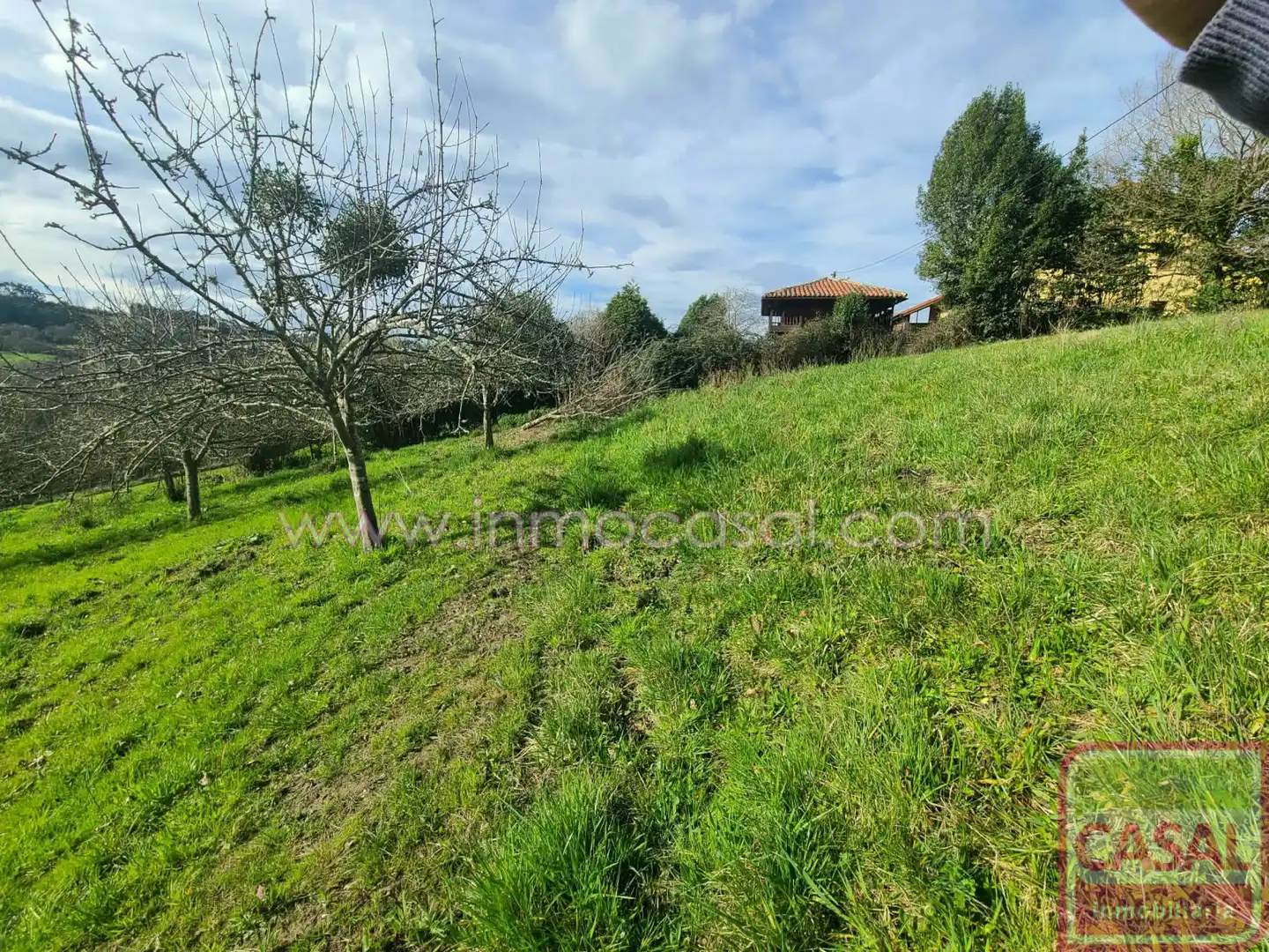Grundstücke und Bauplätze zum Verkauf in POLIGONO 51 PARCELA 132, imagen 18