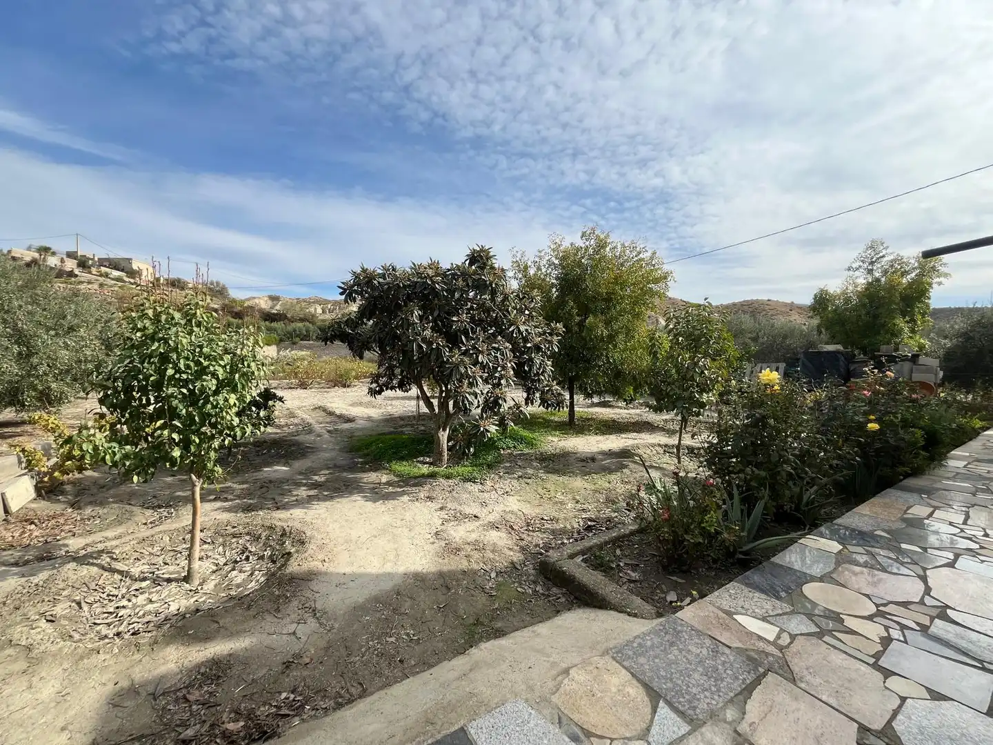 Terreno en venta en Alsodux