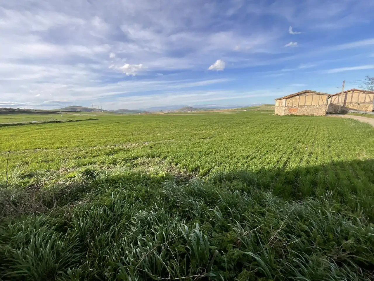 Local en venta en Bascuñana