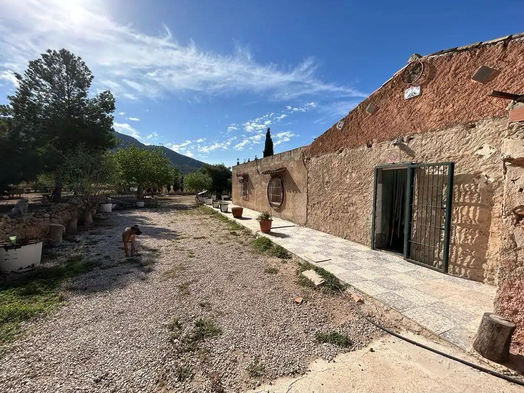 Vista exterior de Finca rústica en venda en Orihuela