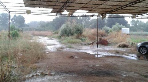 Foto 4 de Casa o xalet en venda a Encinarejo de Córdoba,  Córdoba Capital