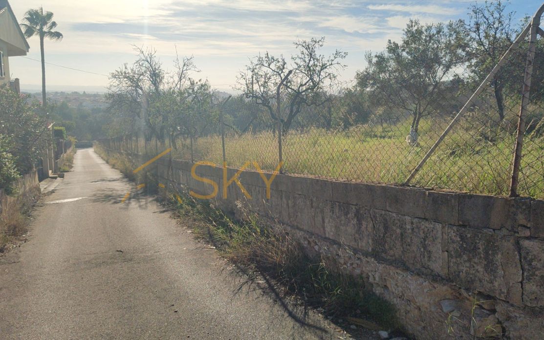 Land for sale in Inca