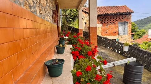 Foto 2 de Finca rústica en venta en Grado, Asturias