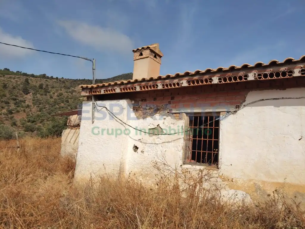 Terreno residencial en venta en Este, imagen 7