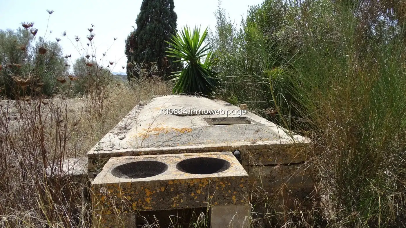 Casa en venda a Petra, imagen 13