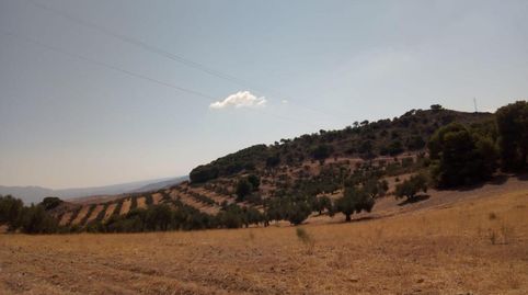 QUESADA (JAÉN). Paraje "Cortijo La Hurraca"