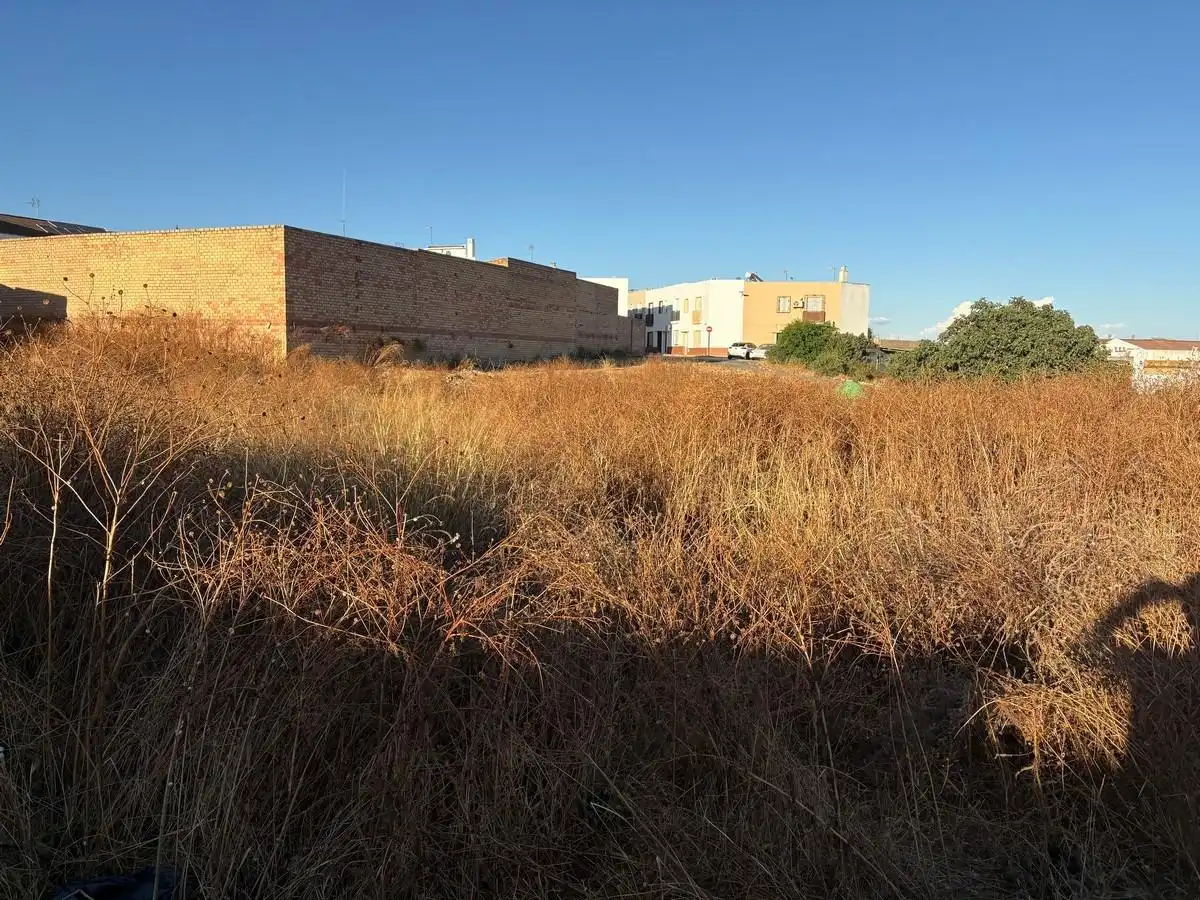 Terrenos y solares en venta en Bollullos Par del Condado, imagen 5