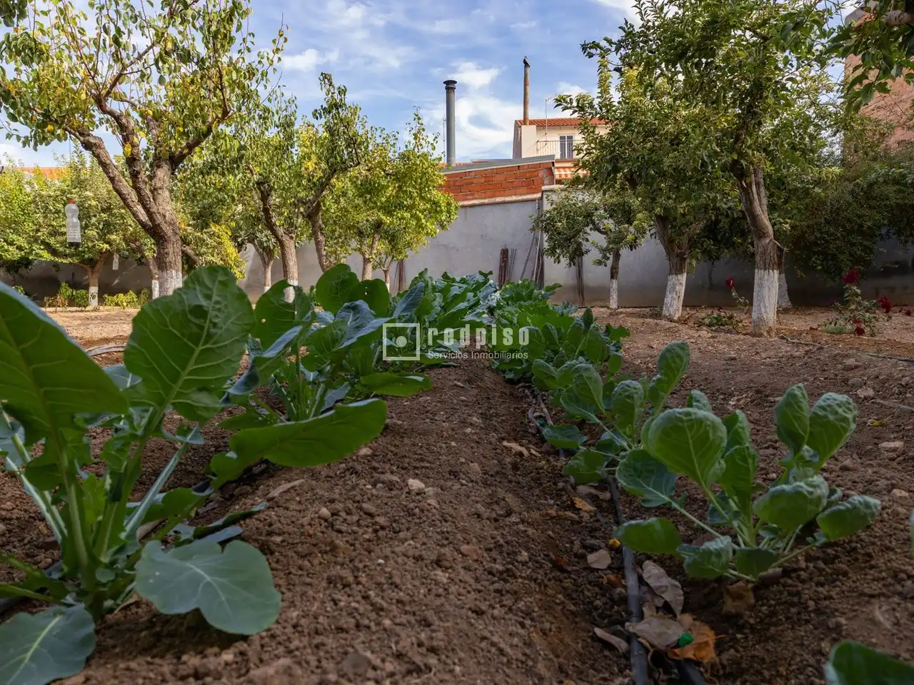 Casa o xalet de lloguer en Madridejos amb Aire condicionat, Calefacció i Terrassa