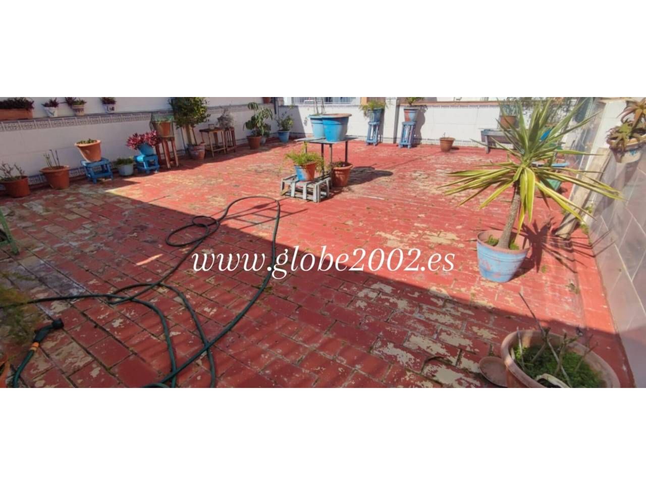 Jardí de Casa o xalet en venda en San Fernando amb Terrassa