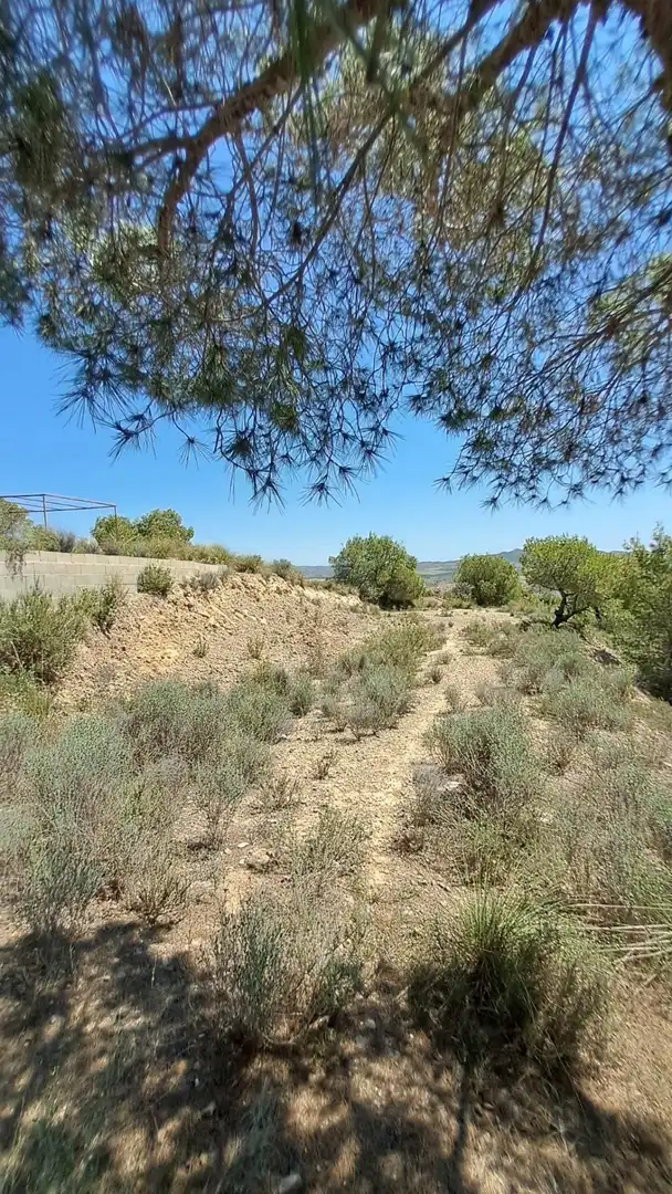 Terreno residenziale in vendita a Urbanizacion LA PINADA, imagen 5