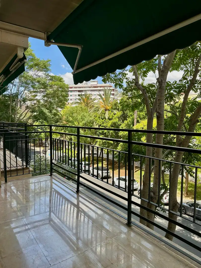 Vista exterior de Apartamento de alquiler en  Palma de Mallorca