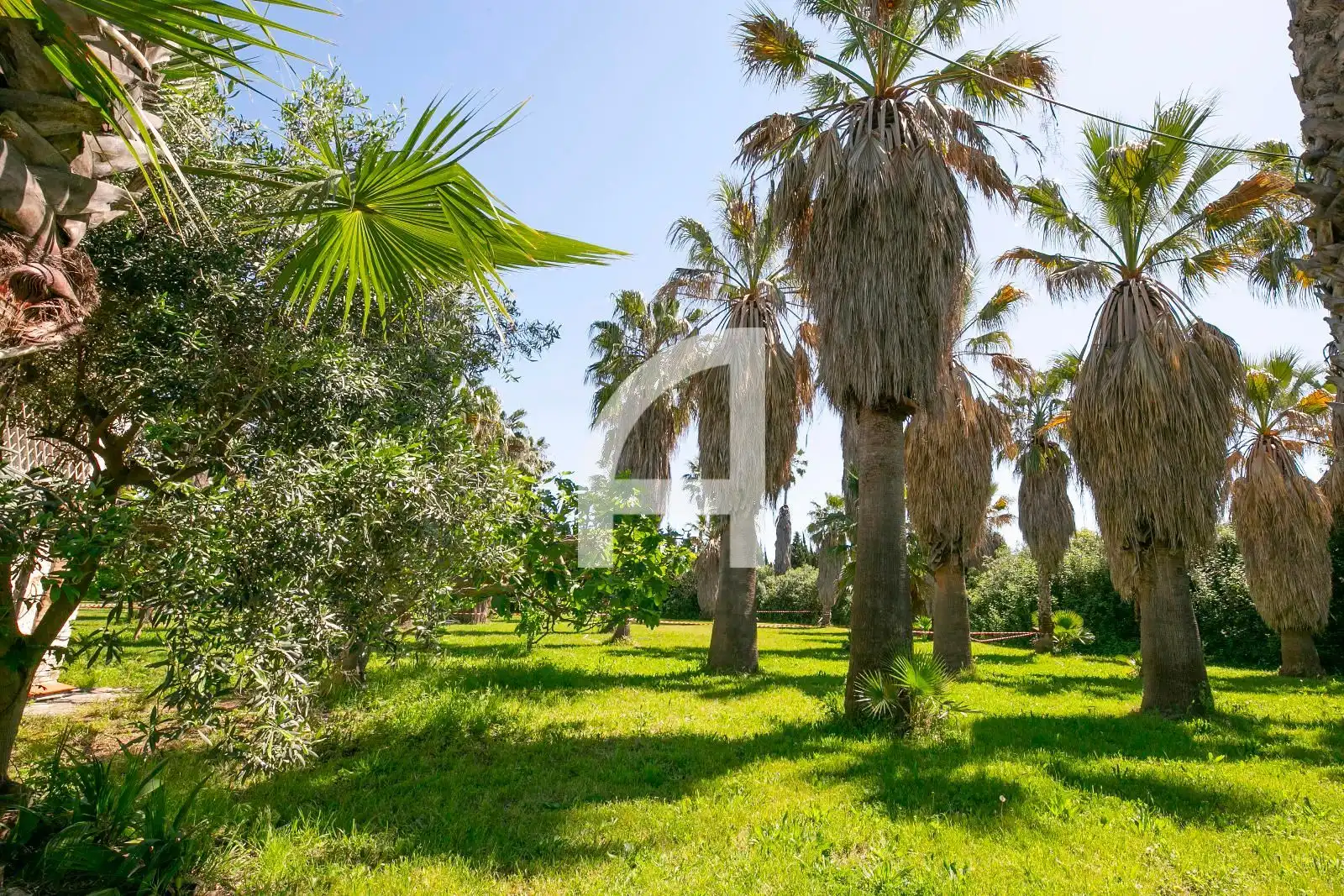 Finca rústica en venta en Sant Boi de Llobregat con Terraza y Trastero