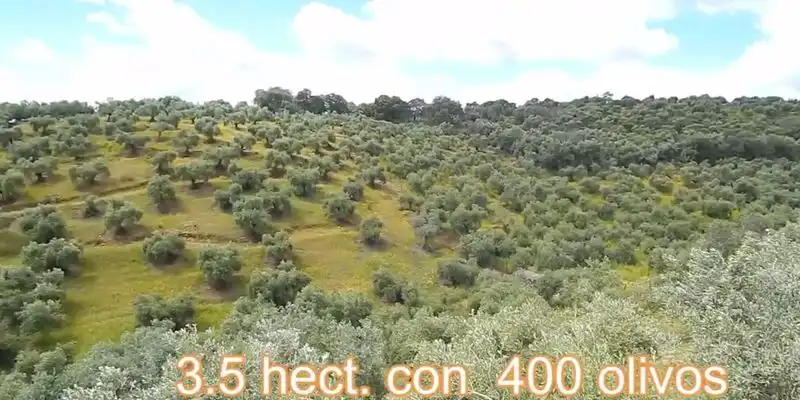 Finca rústica en venda en La Puebla de los Infantes amb Jardí privat i Terrassa
