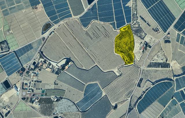 Terreno en Venta en Totana