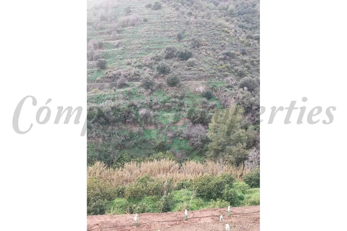 Rustikales Grundstück zum Verkauf in Torrox Pueblo, imagen 4