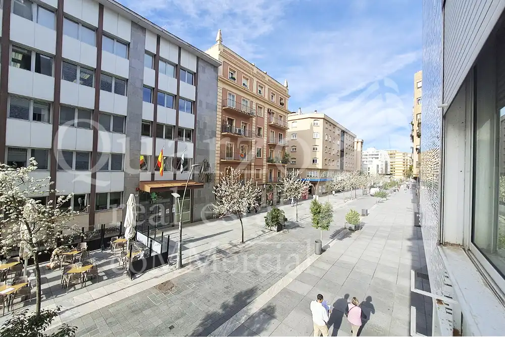 Locale commerciale in affitto a Calle San Pedro de Alcántara, imagen 6