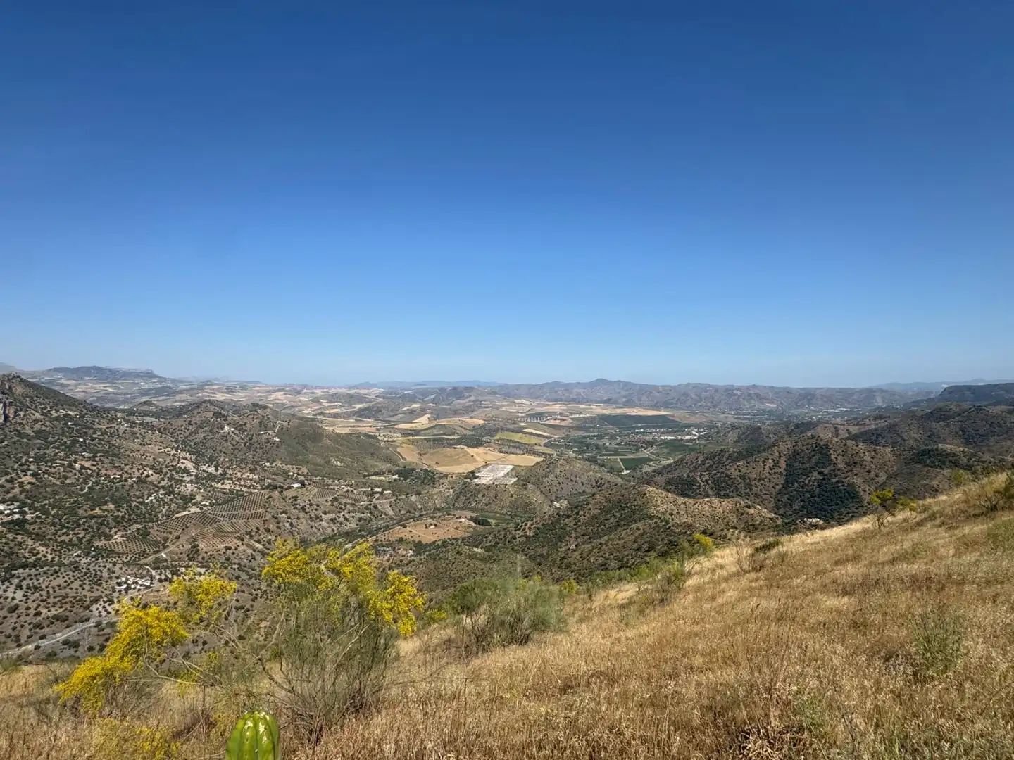 Vista exterior de Finca rústica en venta en Ardales con Jardín privado y Terraza
