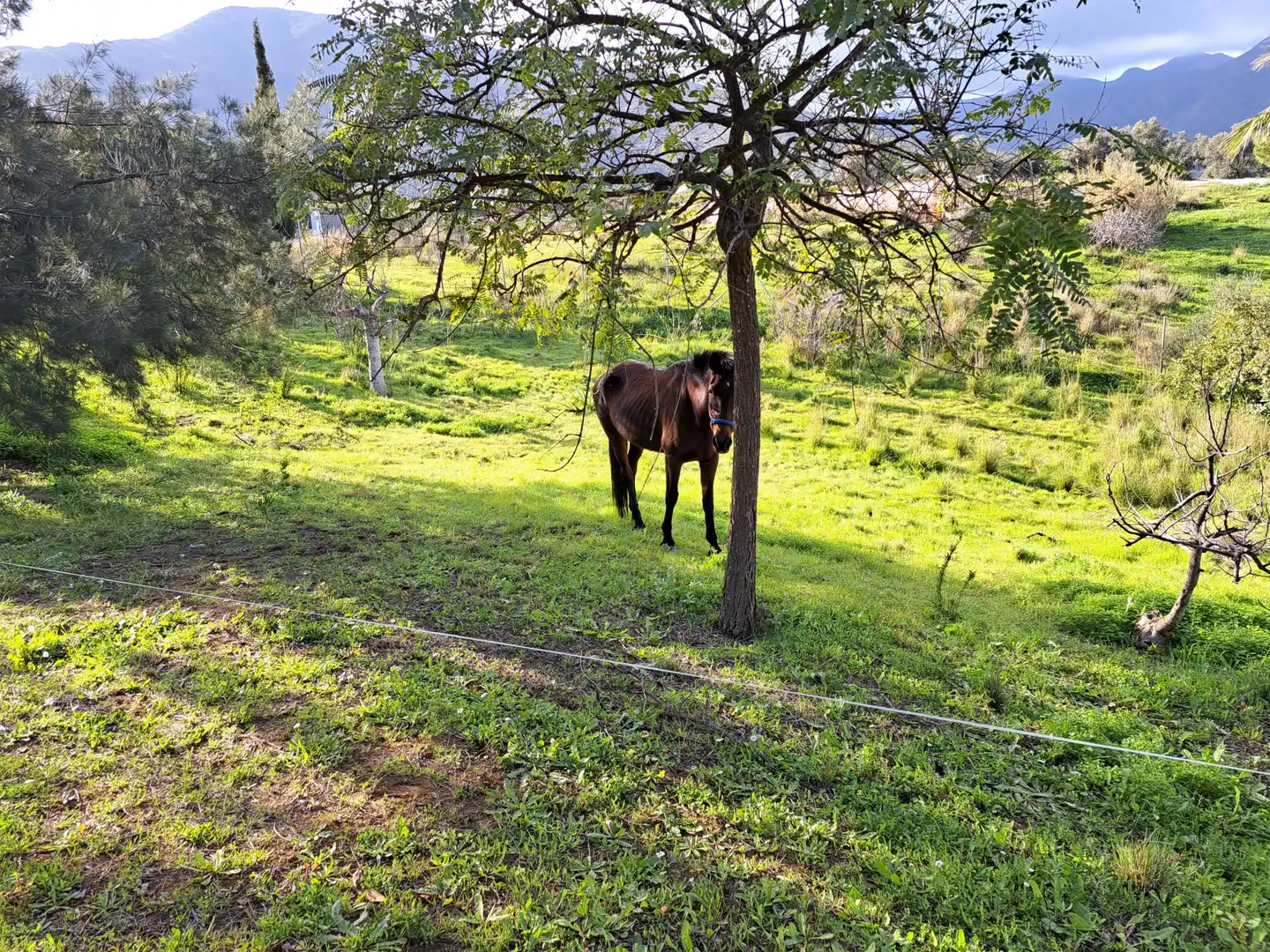 Casa amb terrassa en venda a Valtocado - La Alquería - La Atalaya, imagen 31